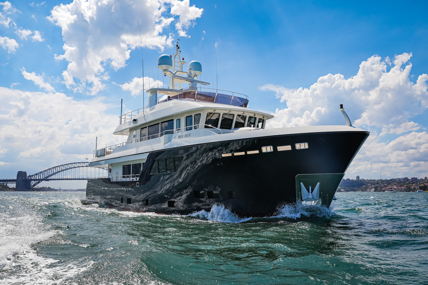 CDM Darwin Class 86
