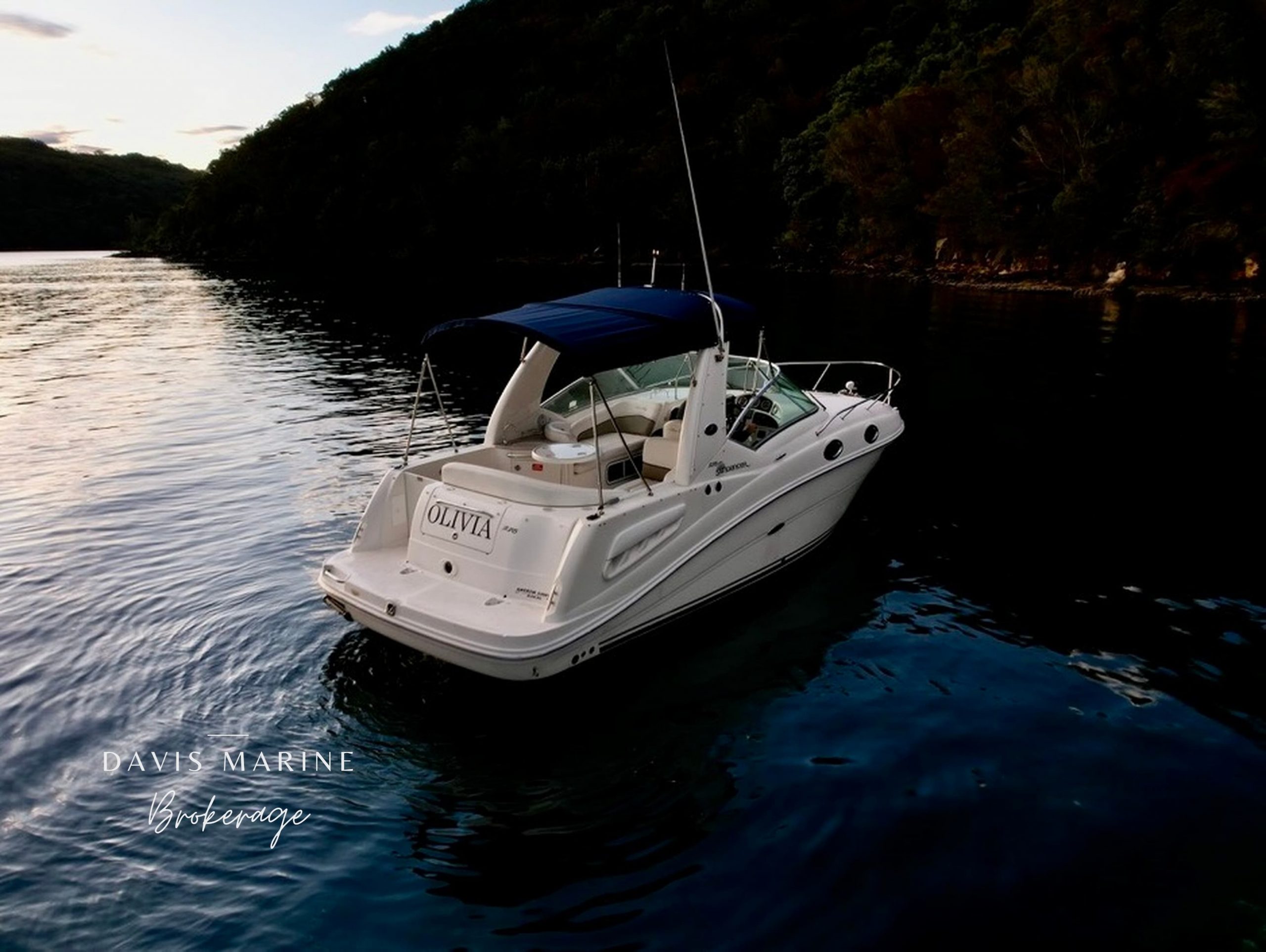 2005 Sea Ray 275 Sundancer 3
