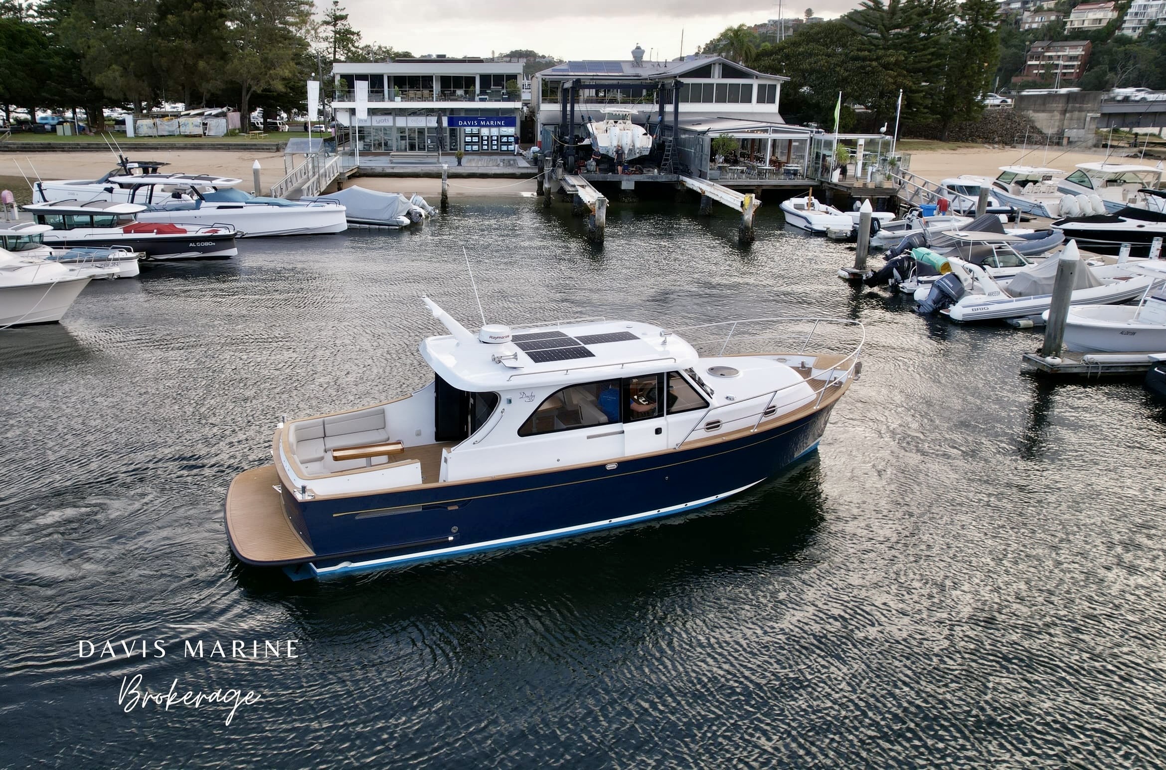 Duchy 35 For Sale Sydney Mischief 15